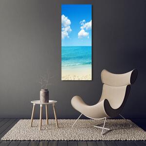 Vertikální Foto obraz skleněný svislý Tropická pláž osv-67235061