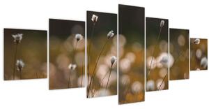 Obraz - Louka s cottongrass N⁰2 (210x100 cm)