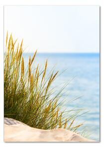Vertikální Foto obraz skleněný svislý Mořské duny osv-67327466