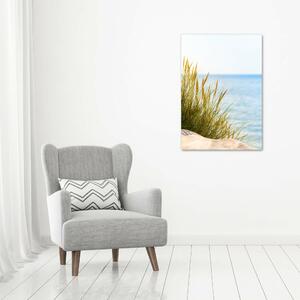 Vertikální Foto obraz skleněný svislý Mořské duny osv-67327466