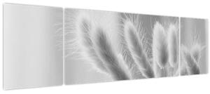 Obraz - Bunny tail grass (170x50 cm)