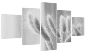 Obraz - Bunny tail grass (125x70 cm)