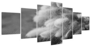 Obraz - Bunny tail grass na stole (210x100 cm)