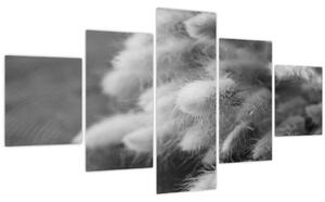 Obraz - Bunny tail grass na stole (125x70 cm)