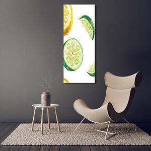 Vertikální Fotoobraz na skle Limetky a citrony osv-67543489