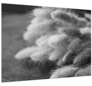 Obraz - Bunny tail grass na stole (70x50 cm)