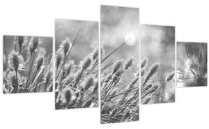 Obraz - Béžová soft grass N⁰1 (125x70 cm)