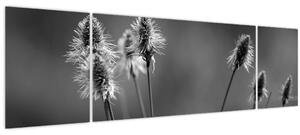 Obraz - Béžová soft grass N⁰2 (170x50 cm)