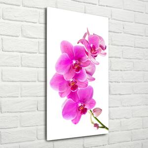Vertikální Fotoobraz na skle Růžová orchidej osv-67673367
