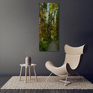 Vertikální Fotoobraz na skle Stezka v lese osv-67684671
