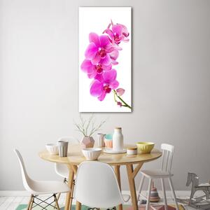 Vertikální Fotoobraz na skle Růžová orchidej osv-67673367