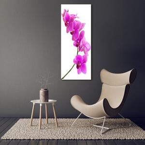 Vertikální Fotoobraz na skle Růžová orchidej osv-67691978