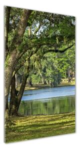 Vertikální Fotoobraz na skle Jezero v parku osv-67926921