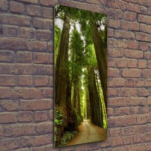 Vertikální Fotoobraz na skle Stezka v lese osv-68588217