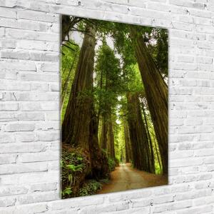 Vertikální Fotoobraz na skle Stezka v lese osv-68588217