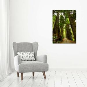 Vertikální Foto obraz na plátně Stezka v lese ocv-68588217