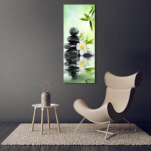 Vertikální Moderní skleněný obraz z fotografie Bambus osv-68618057