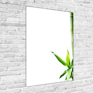 Vertikální Moderní skleněný obraz z fotografie Bambus osv-68827460