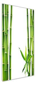 Vertikální Moderní skleněný obraz z fotografie Bambus osv-68827460