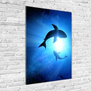 Vertikální Foto obraz skleněný svislý Siluety žraloků osv-69178156
