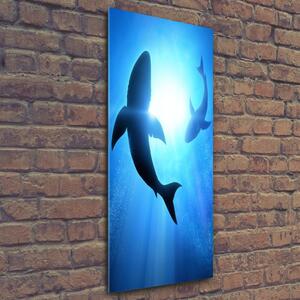 Vertikální Foto obraz skleněný svislý Siluety žraloků osv-69178156
