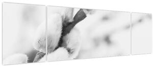 Obraz - Začátek jara (170x50 cm)