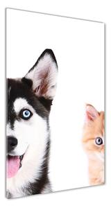 Vertikální Foto obraz sklo tvrzené Pes a kočka osv-69481621