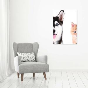 Vertikální Vertikální Foto obraz na plátně do obýváku Pes a kočka ocv-69481621