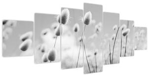 Obraz - Boho bunny tail grass (210x100 cm)