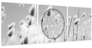 Obraz - Boho bunny tail grass (s hodinami) (90x30 cm)