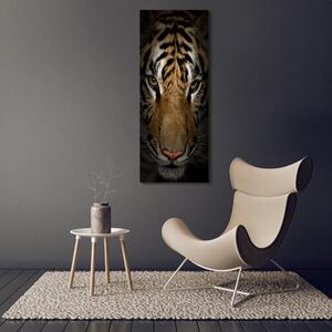 Vertikální Moderní fotoobraz canvas na rámu Tygr ocv-69917271