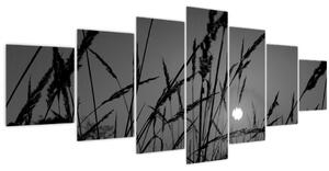 Obraz - Louka se západem slunce (210x100 cm)