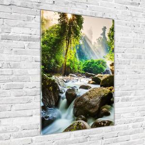 Vertikální Foto obraz skleněný svislý Vodopád v lese osv-71554377