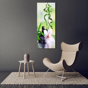 Vertikální Moderní fotoobraz canvas na rámu Bambus ocv-71765924