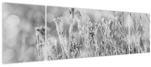 Obraz - Chladná zima (170x50 cm)