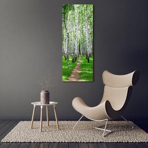 Vertikální Foto obraz sklo tvrzené Břízový les osv-72008016