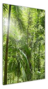 Vertikální Foto obraz sklo tvrzené Deštný prales osv-72098525