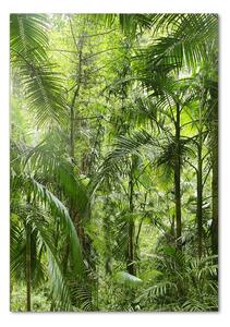 Vertikální Foto obraz sklo tvrzené Deštný prales osv-72098525