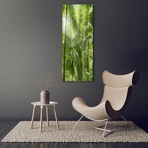 Vertikální Foto obraz na plátně Deštný prales ocv-72098525