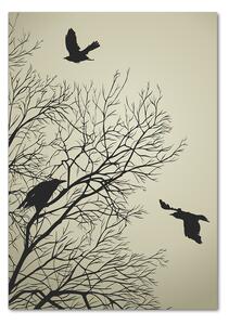 Vertikální Foto obraz skleněný svislý Vrány na stromě osv-72229851