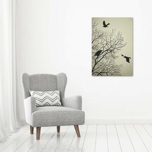 Vertikální Foto obraz skleněný svislý Vrány na stromě osv-72229851