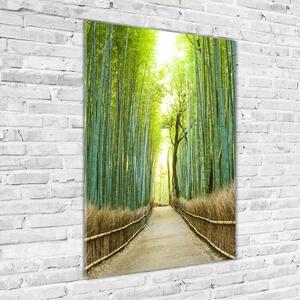 Vertikální Foto obraz sklo tvrzené Bambusový les osv-72519653