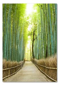 Vertikální Foto obraz sklo tvrzené Bambusový les osv-72519653
