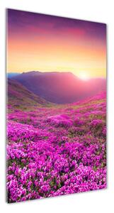 Vertikální Foto obraz skleněný svislý Hory rododendrom osv-72586785