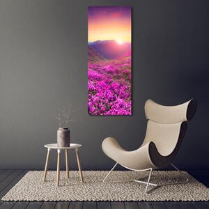 Vertikální Foto obraz skleněný svislý Hory rododendrom osv-72586785