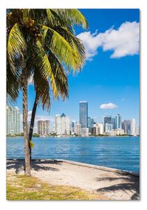 Vertikální Fotoobraz skleněný na stěnu do obýváku Miami osv-73307361