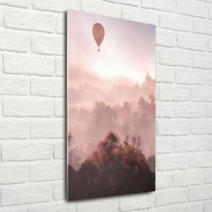 Vertikální Fotoobraz na skle Létající balon les osv-73608942