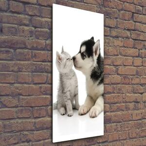 Vertikální Foto obraz sklo tvrzené Pes a kočka osv-73561386