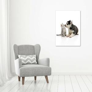 Vertikální Vertikální Foto obraz na plátně do obýváku Pes a kočka ocv-73561386