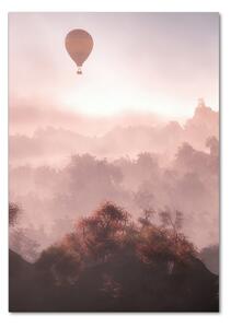 Vertikální Fotoobraz na skle Létající balon les osv-73608942